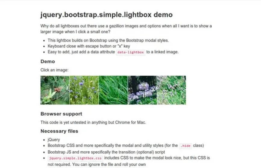 Simple-Lightbox.jpg